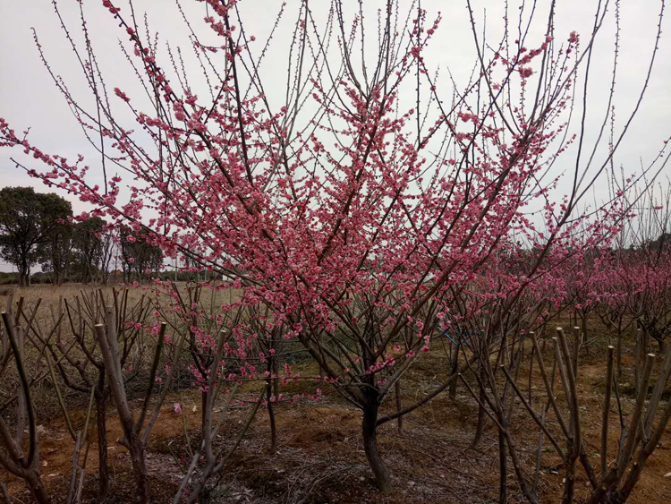 10���ֹ���t�t÷