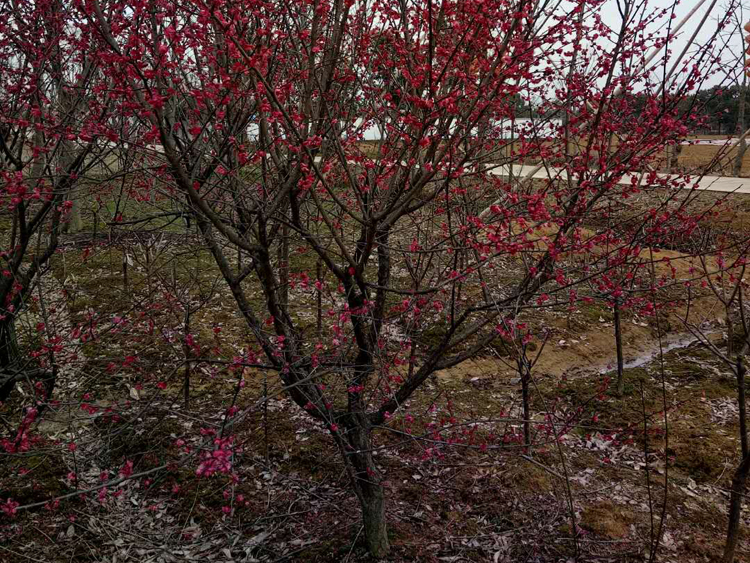  8������ɰ�t÷