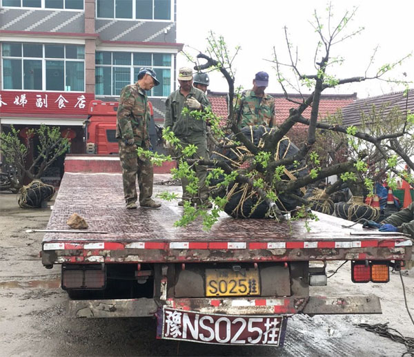 20���ּt÷����ȡ���b܇