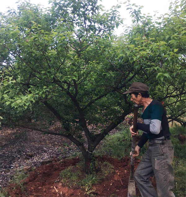 13-15����÷����(sh��)�_(k��i)��