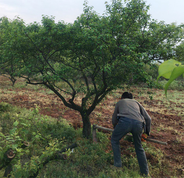 13-15����÷����(sh��)�_(k��i)��