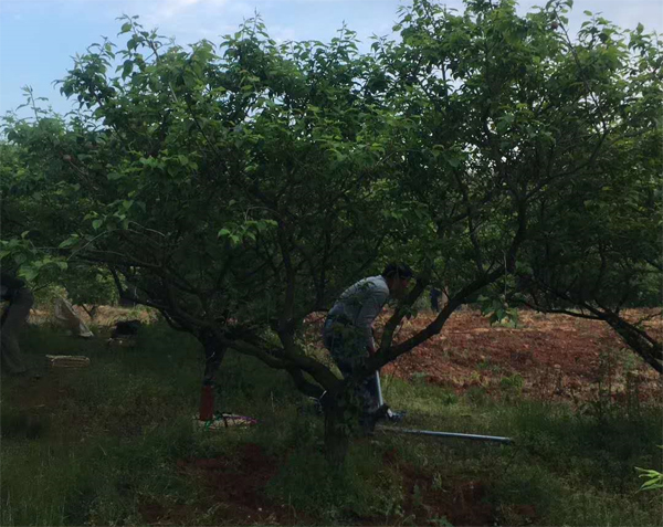 15������÷��ȡ���؛