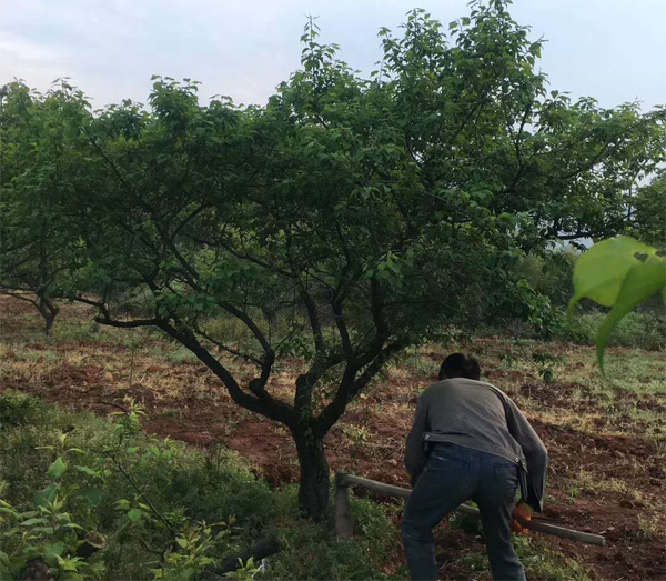 15������÷��ȡ���؛