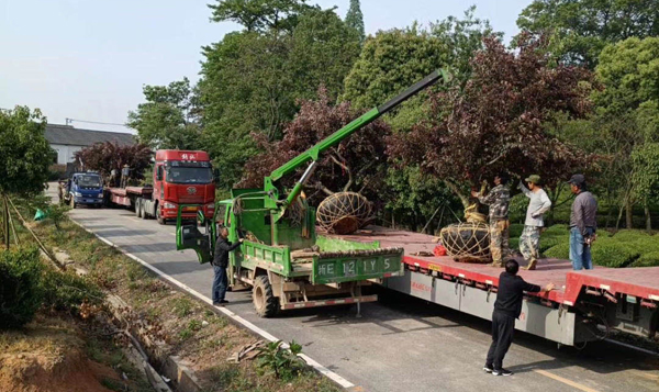 �l(f��)؛�����l(f��)؛�ˣ��l(f��)؛����25��������÷�l(f��)���ɶ�