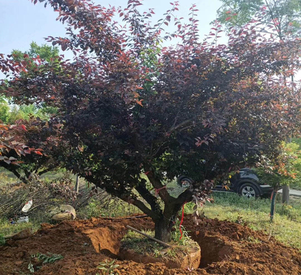 25��������÷�l(f��)���ɶ�