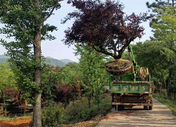 25��������÷�l(f��)���ɶ�