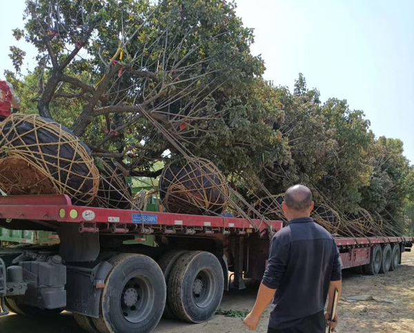 25������ɰ÷�l(f��)؛һ܇(ch��)