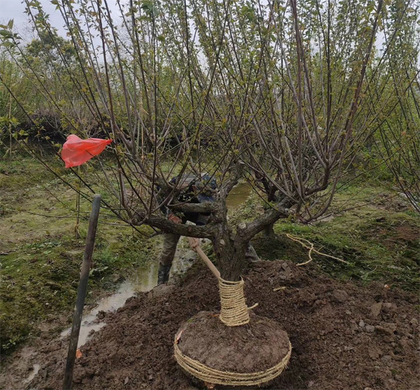 15�������Լ޽Ӽt÷���؛