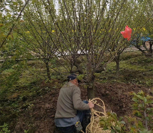 15�������Լ޽Ӽt÷���؛