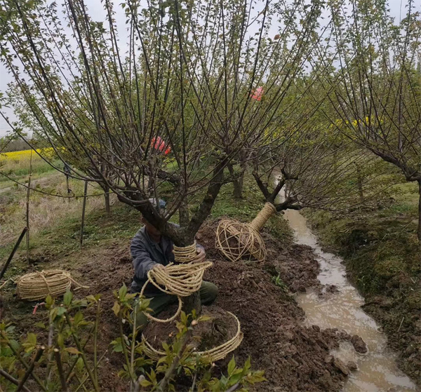 15�������Լ޽Ӽt÷���؛