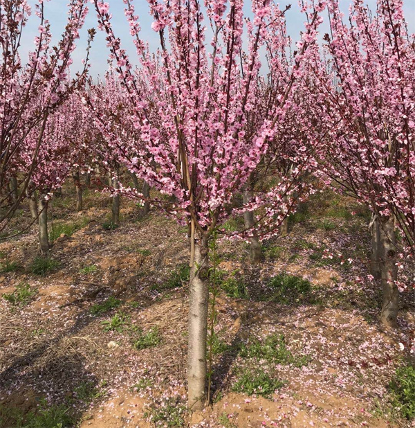 9��������÷ʲô�r(ji��)��