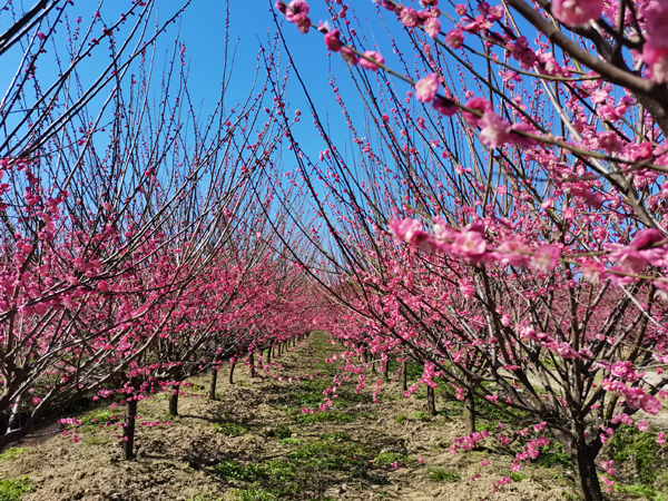 9���ּt÷��