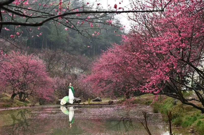 �t÷�����