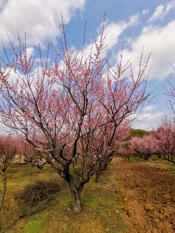 &aring;Ž&Yuml;&ccedil;&rdquo;&Yuml;&ccedil;&ordm;&cent;&aelig;&cent;&hellip;