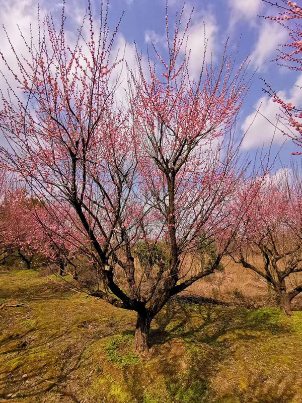 &aring;Ž&Yuml;&ccedil;&rdquo;&Yuml;&ccedil;&ordm;&cent;&aelig;&cent;&hellip;&aelig;&nbsp;&lsquo;