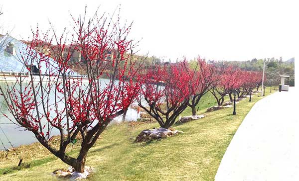 18&aring;&not;&aring;&ccedil;&ordm;&cent;&aelig;&cent;&aelig;&nbsp;