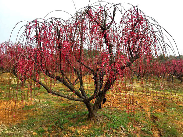 &aring;ž&sbquo;&aelig;ž&aelig;&cent;&hellip;&aring;&curren;&sect;&egrave;&lsaquo;&mdash;