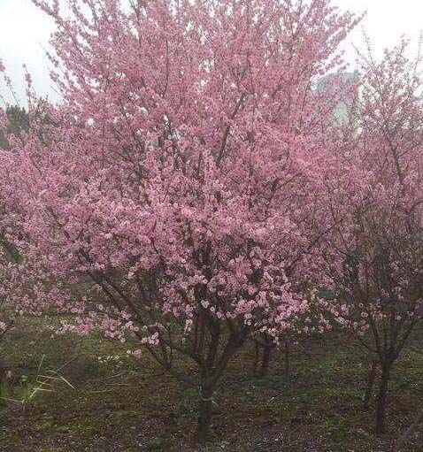 8-10��������÷