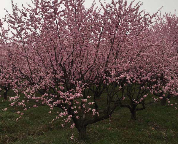 15-25��������÷