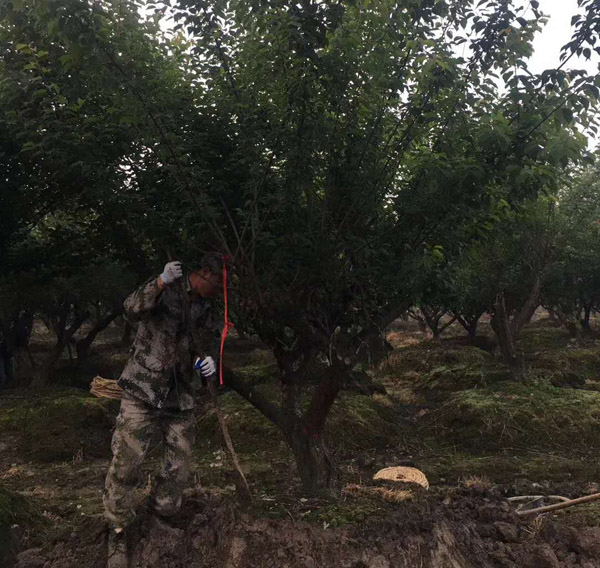 ���Լ޽Ӽt÷��(sh��)ȡ����