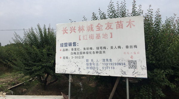 �L�dȫ��3-30���ּt÷��Nֲ����