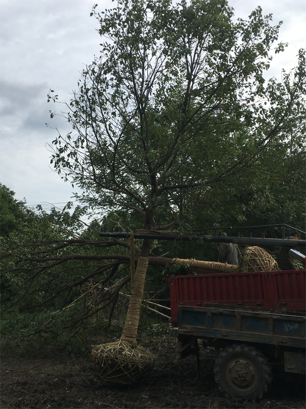 ������(sh��)����(y��ng)��&mdash;&mdash;18���������b܇(ch��)��