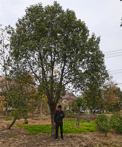 25����������