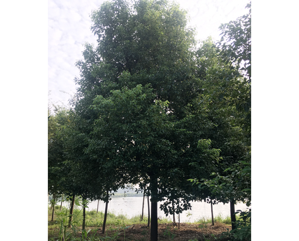 18����������