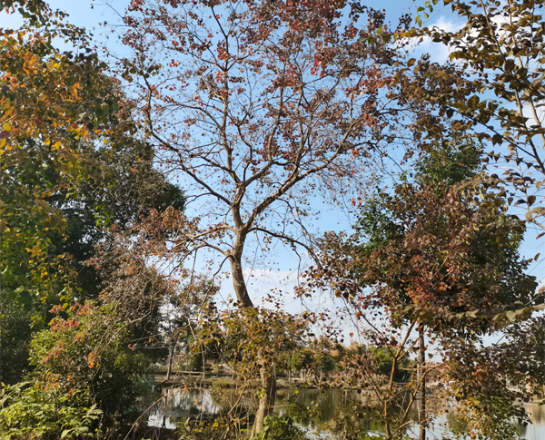 15�������͞���