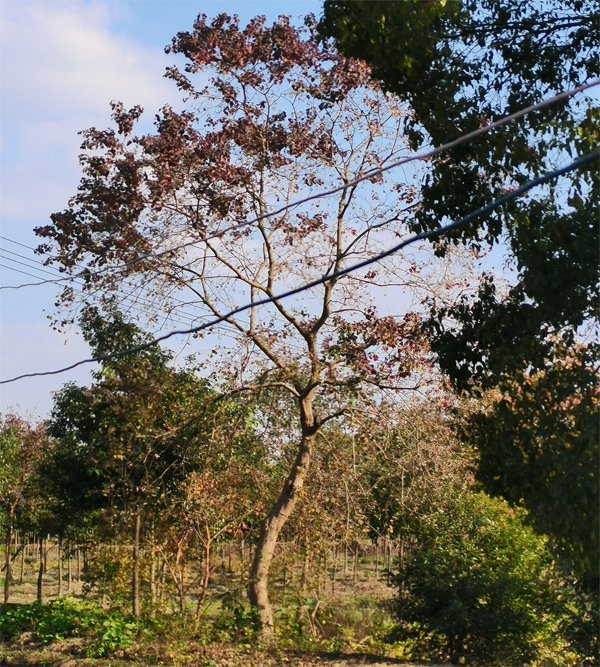 15�������͞���