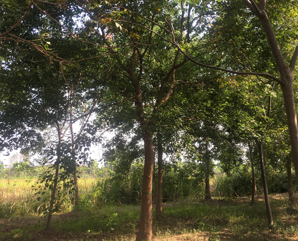 15-20���֞���