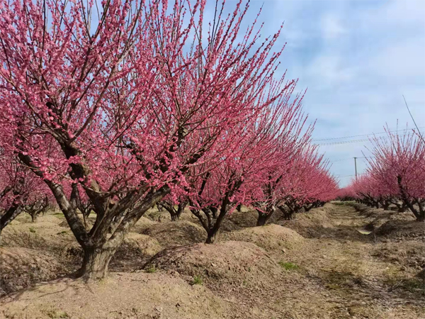 5-30���ּt÷�������У�