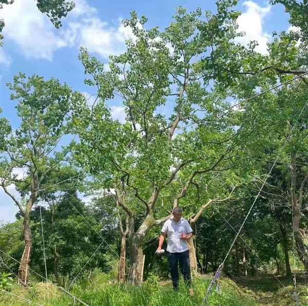 ����(y��ng)20-26���֏��U���굽�����ڄ�(chu��ng)�خa(ch��n)��