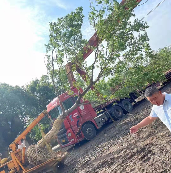 ����(y��ng)20-26���֏��U���굽�����ڄ�(chu��ng)�خa(ch��n)��