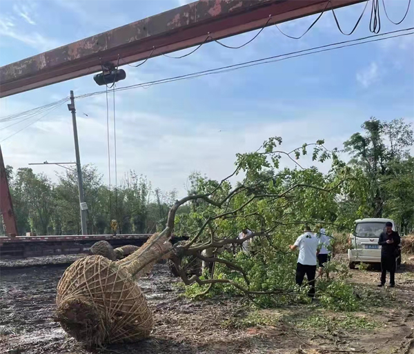 ����(y��ng)20-26���֏��U���굽�����ڄ�(chu��ng)�خa(ch��n)��