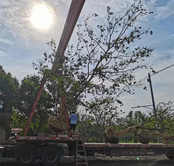 ����(y��ng)20-26���֏��U���굽�����ڄ�(chu��ng)�خa(ch��n)��