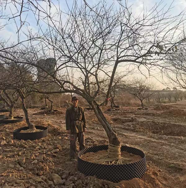 JƷ�Ř��t÷�����l(f��)