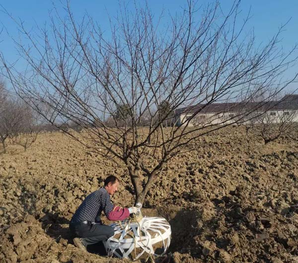 14����JƷ�t÷��ȡ�����ȴ��͑��Լ��_܇�b؛��