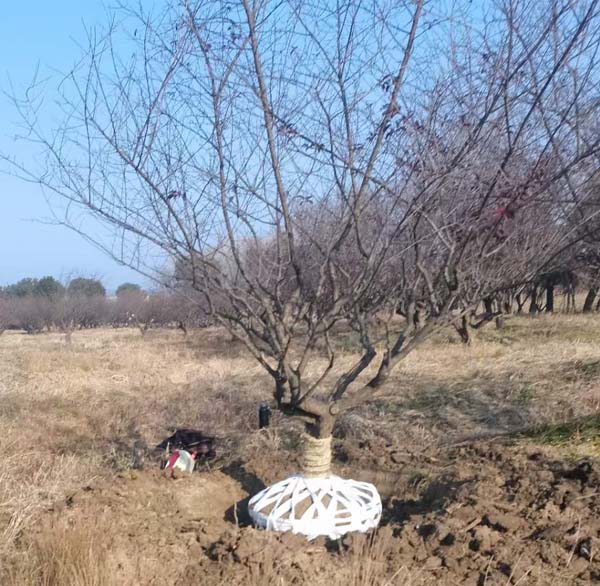 14����JƷ�t÷��ȡ�����ȴ��͑��Լ��_܇�b؛��