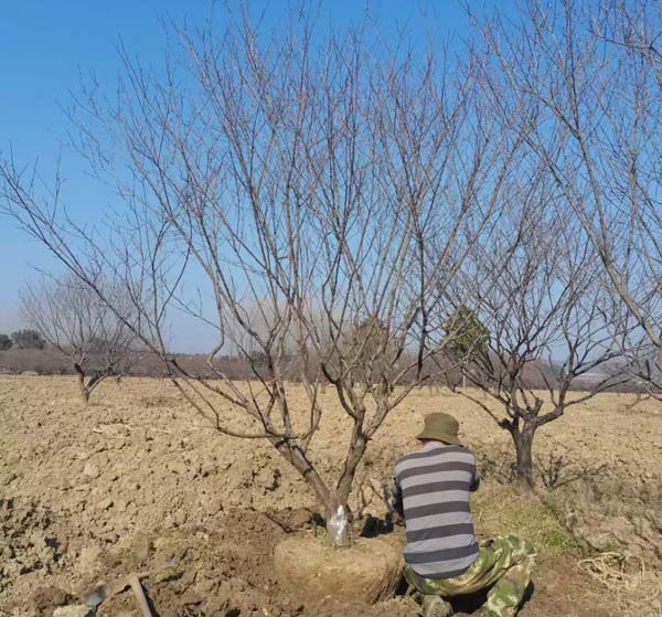 14����JƷ�t÷��ȡ�У��ȴ��͑��Լ��_܇�b؛��