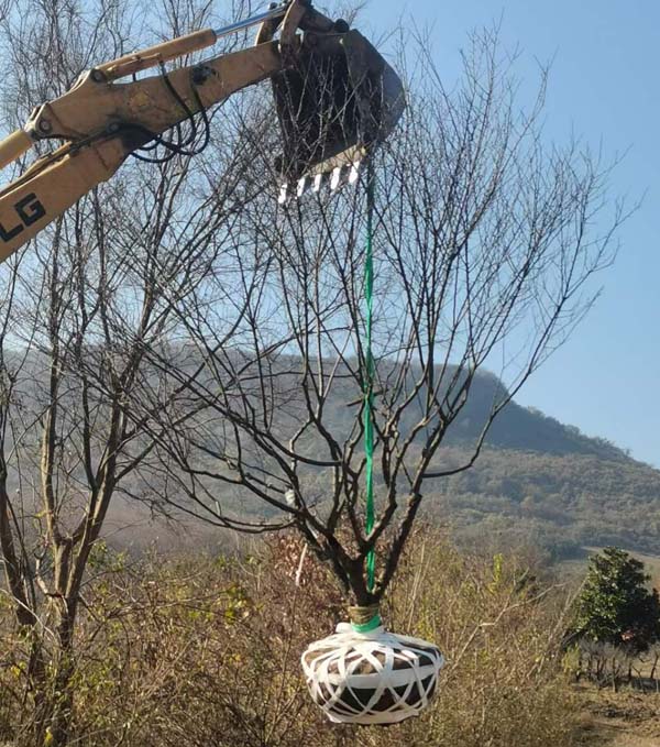 14����JƷ�t÷��ȡ�����ȴ��͑��Լ��_܇�b؛��