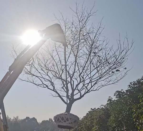 14����JƷ�t÷��ȡ�����ȴ��͑��Լ��_܇�b؛��