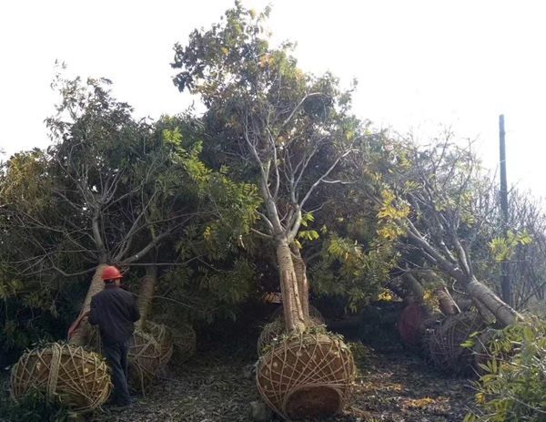 15���֟o����