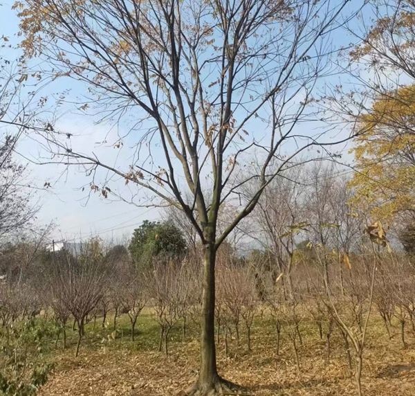 18���֟o����