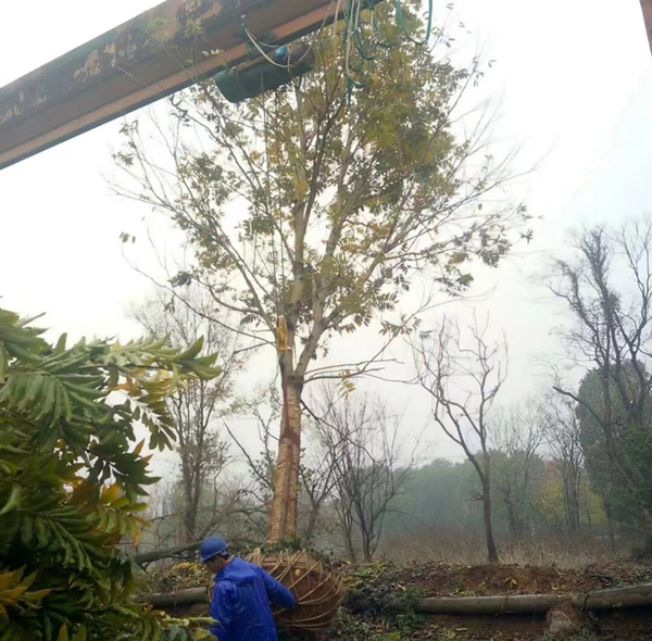 18���֟o����