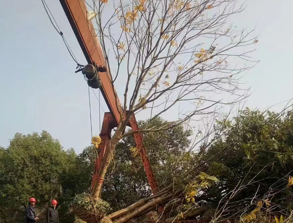 20���֟o����