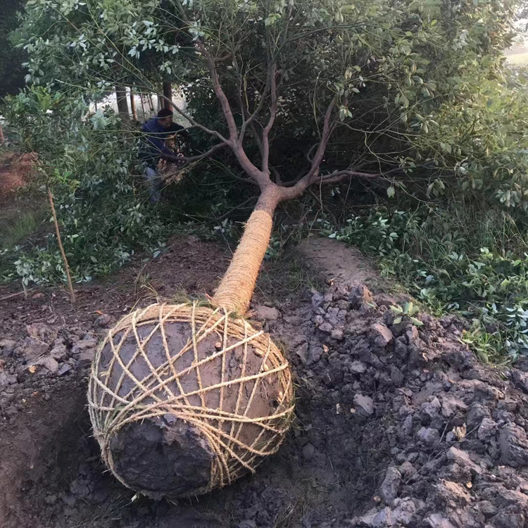 15����������(sh��)