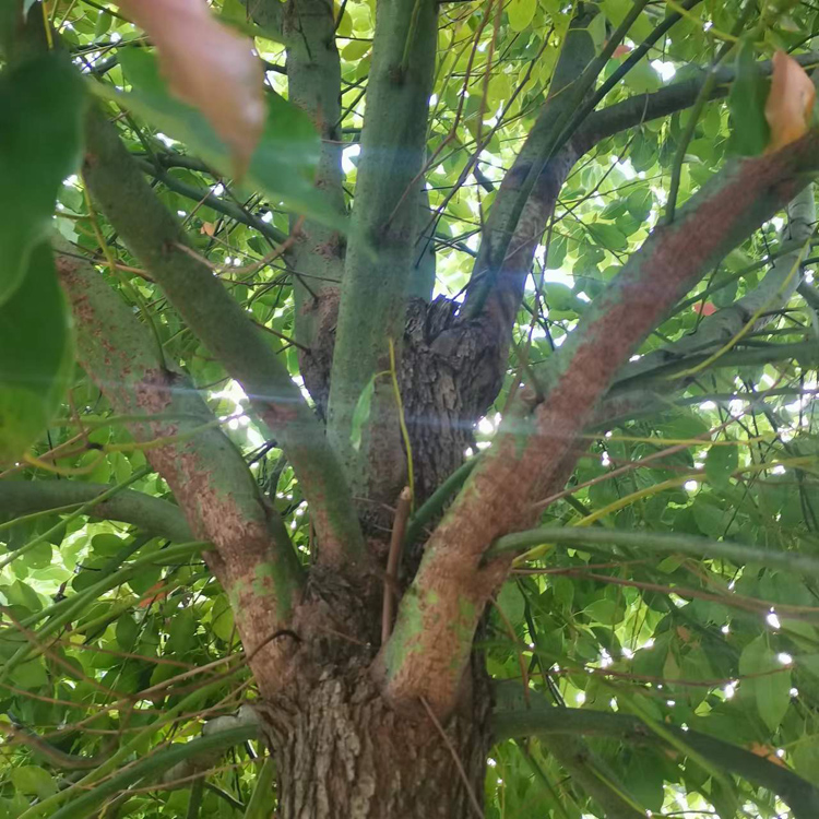 15����������(sh��)