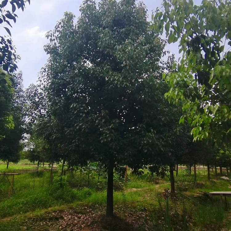 18����������