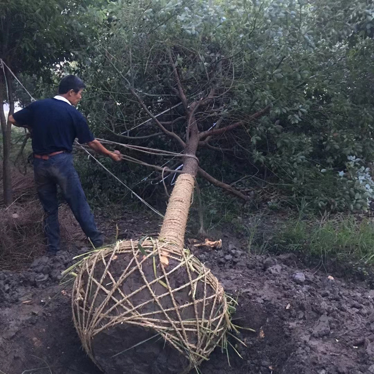 18����������